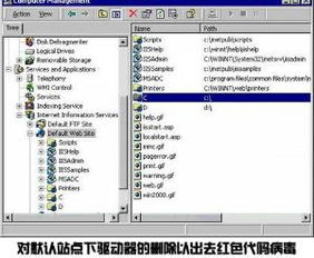 红色代码 网络病毒警示与网络信息安全软件开发的应对之道