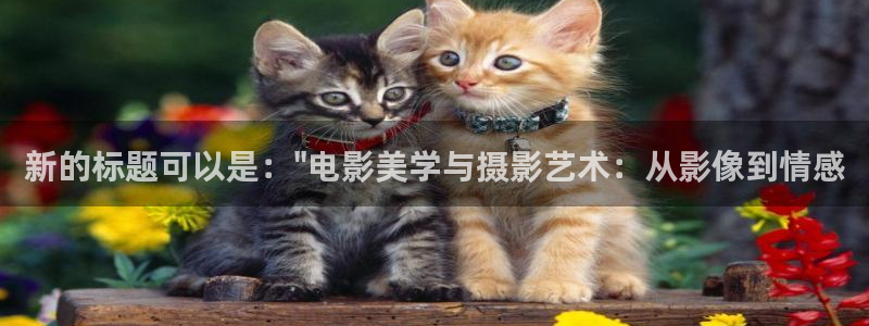神马影院东京热