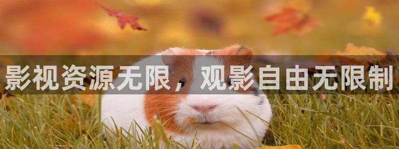 神马影视888不卡