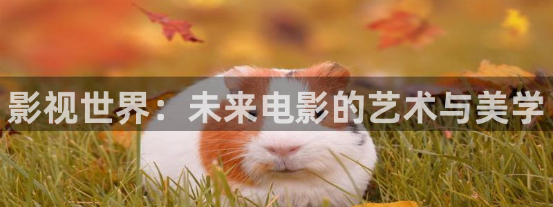 神马影院无
