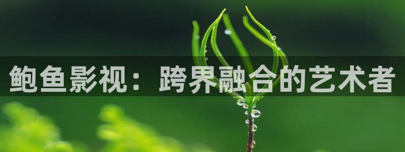 神马影院神马午夜
