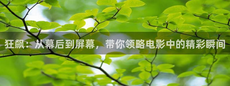 无敌电影网神马在线观看