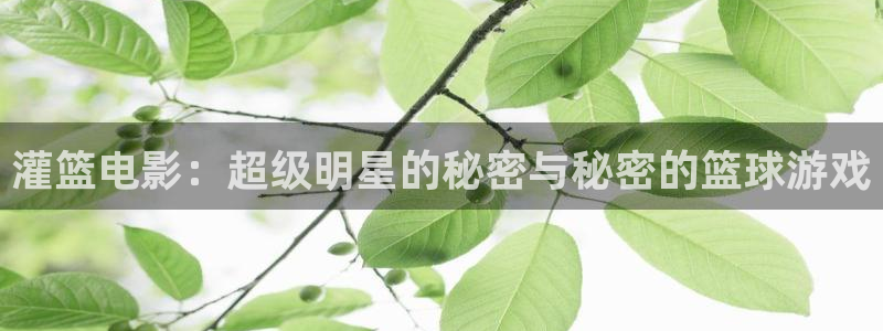 神马dy888午夜我不卡