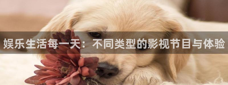 狼群神马手机免费影院