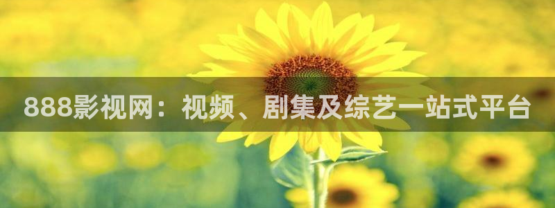 达达兔第九神马午夜影院
