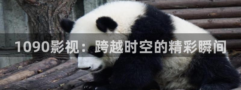 神马影视手机在线