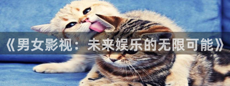 神马影院手机电影院