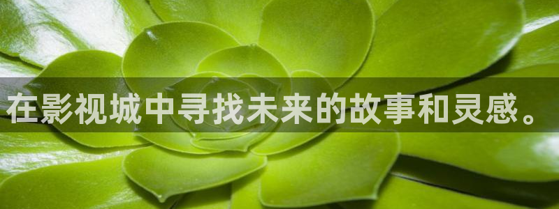 琪琪影院神马
