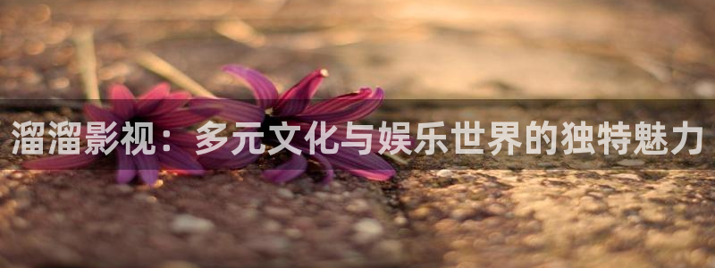 神马影院麻豆影视