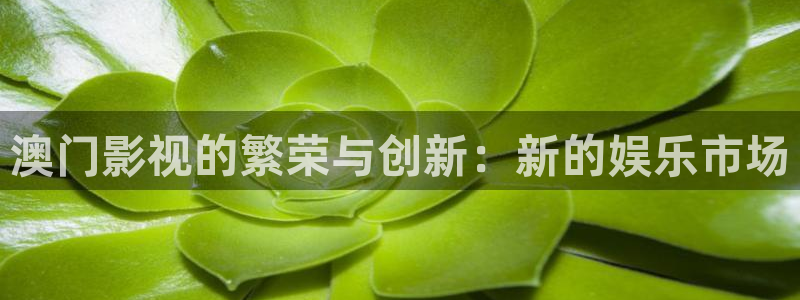 第七神马影院