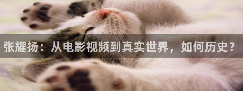 神马不卡午夜电影