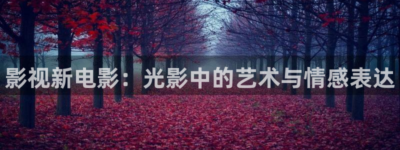 神马电影网午夜伦理片