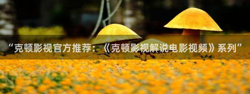 神马影院伦理免费伦理片