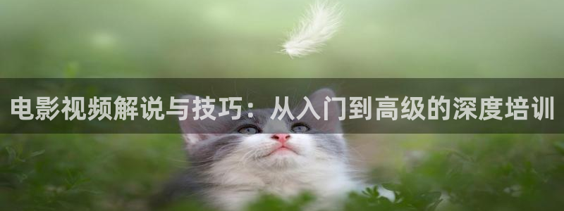 手机看片神马