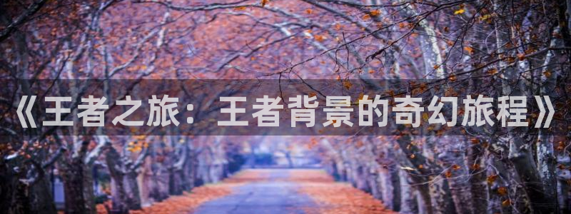 神马星辰影院免费观看电视剧电影大全