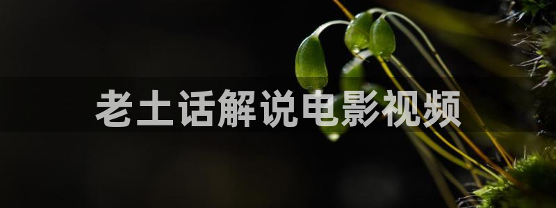 神马影院伦理电影