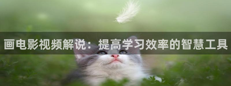 神马影院我不卡影院达达兔影视