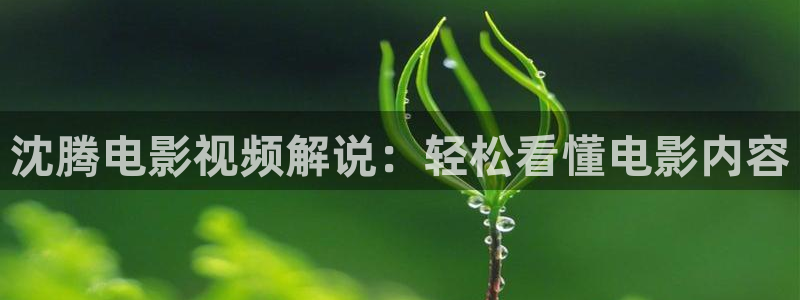 神马电影伦理特级片