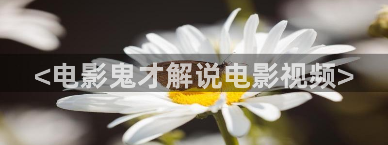 神马电影美容院