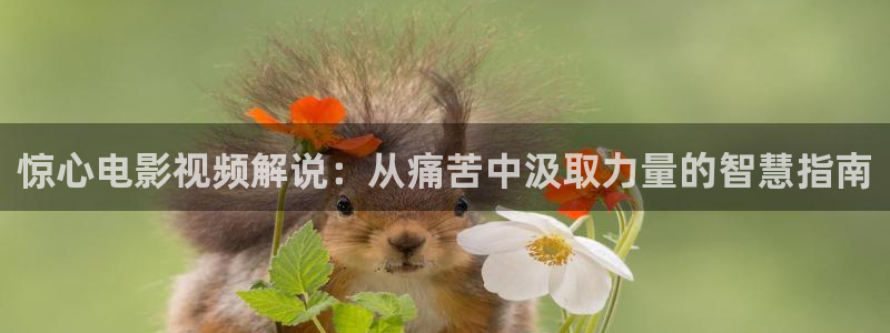 神马影院一二三区