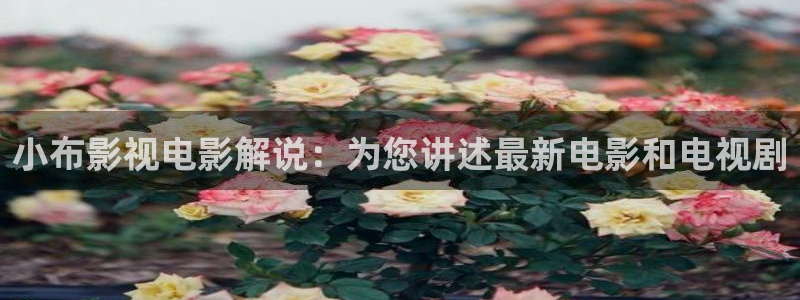 神马影院一区二区三区四区