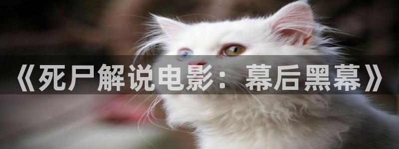 神马影院年轻