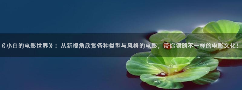 神马电影网8090