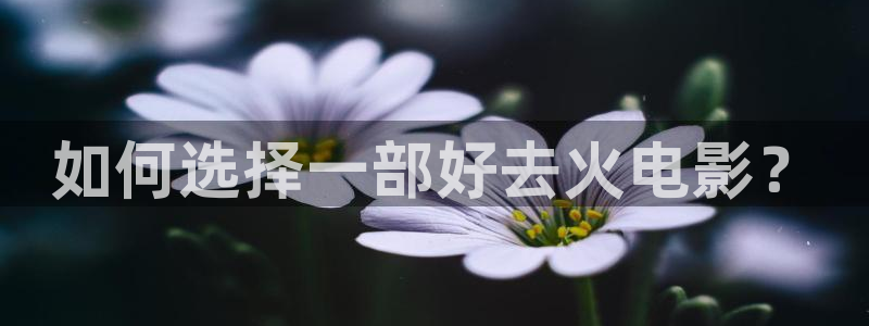 神马影视2025