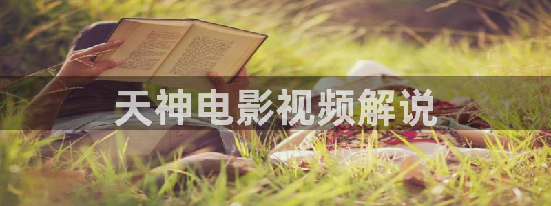 手机伦理神马影院