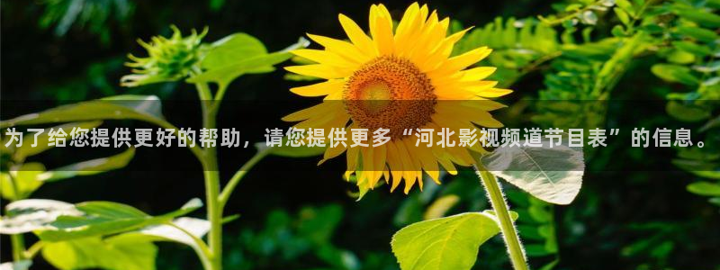神马影院在线播放